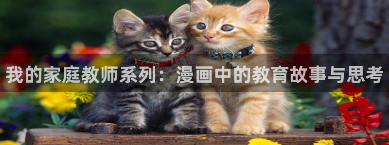 左京亚也漫画新新漫画