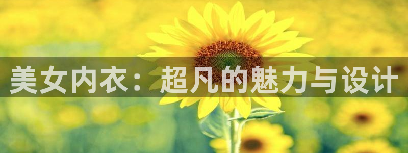 新新漫画观看