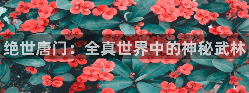 新新漫画网移动版