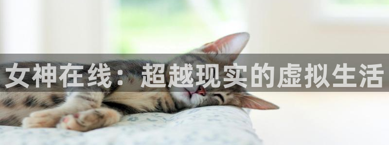 新新漫画在哪下载