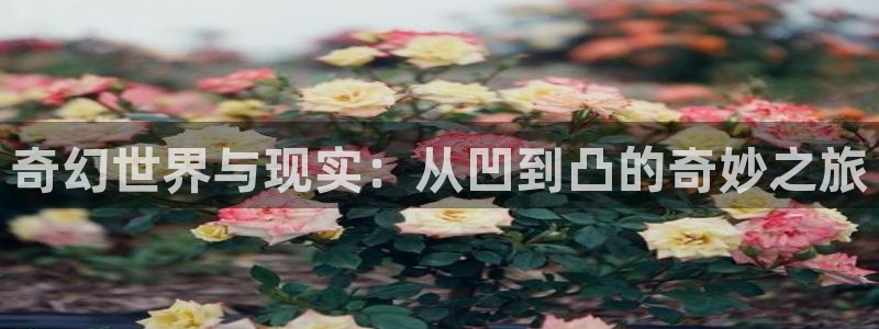 新新漫画韩漫