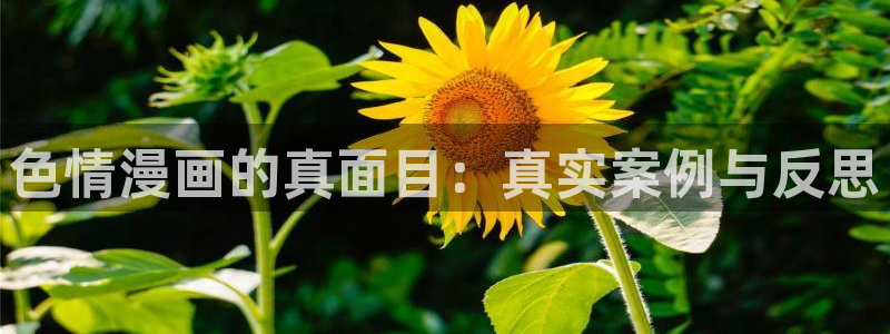 重考生新新漫画